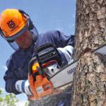 A man using a chainsaw to cut into a tree