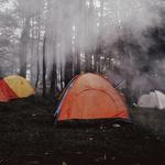 Tents in a foggy forrest