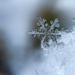 Close up of a snowflake
