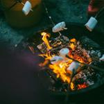 Toasting marshmallows on a fire