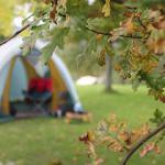 Tent behind an autumn tree